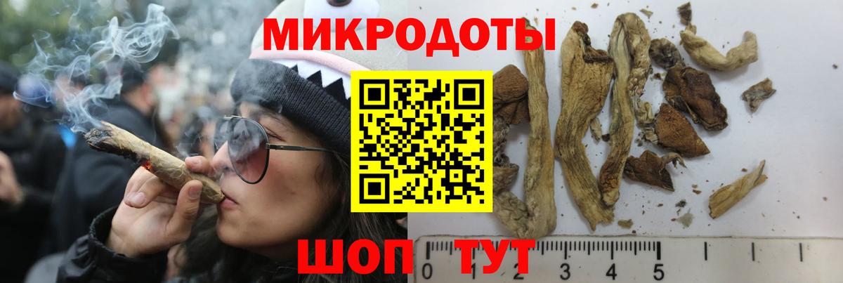 Галлюциногенные грибы мухоморы Похвистнево