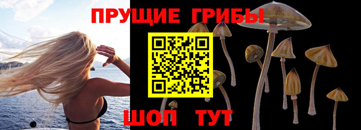 Похвистнево  Галлюциногенные грибы Cubensis  Вход с VPN 